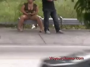 The anxious dog had his secretary on the table