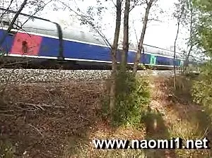 Large anus tube for dark-haired heifer