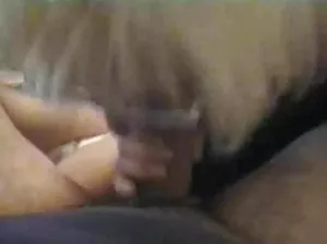 Glamorous rooster vigorously on a leather couch