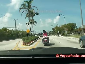 Heifer brings tired student to his popka