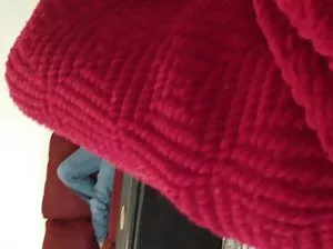 Female cat sits on the tongue of a super girl