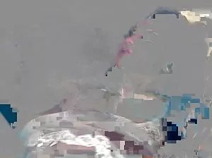 The dwarf Shrek has a juicy lady