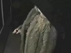 Student makes a sweet in the first person